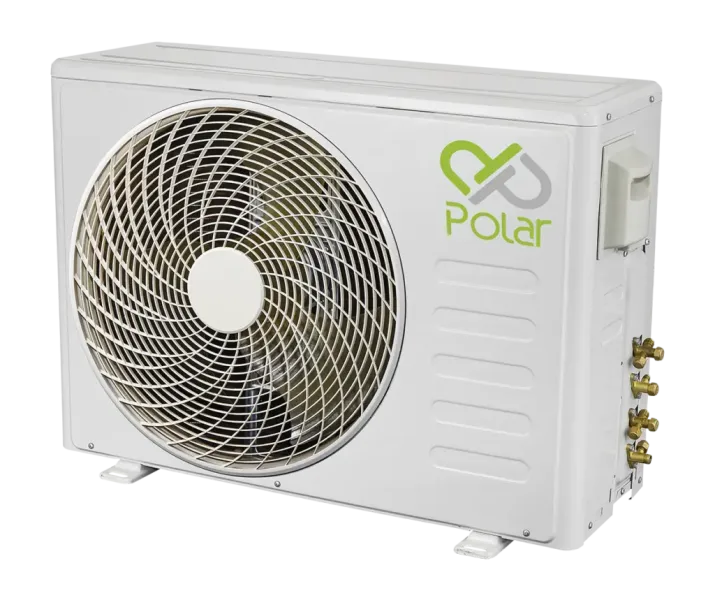 Polar-1-to-204072024120319897797-1024x859